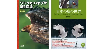 日本の鳥図鑑| 学習と教育を支援する通販会社-YTT Net