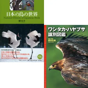 日本の鳥図鑑|学習と教育を支援する通販会社-YTT Net